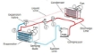 Imagen de Criosauna Eléctrica Grand - Cryostar